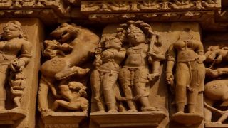 Gender Sex Sexuality