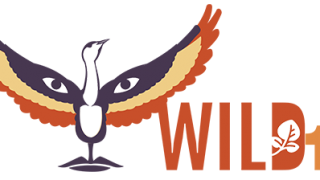 Wild 11 World Wilderness Conference