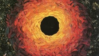 Short Term Research Fellowship – Survey of the Environmental Activities Landscape in India