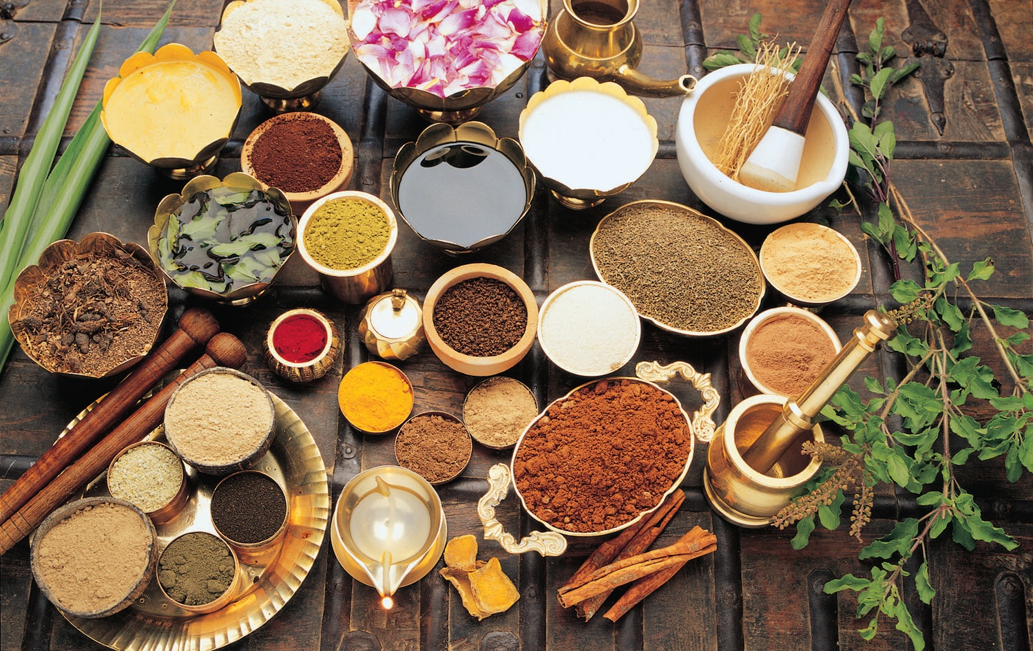 आयुर्वेद की कथा प्रथम भाग आयुर्वेद का उद्गम व लौकिक यात्रा Indic