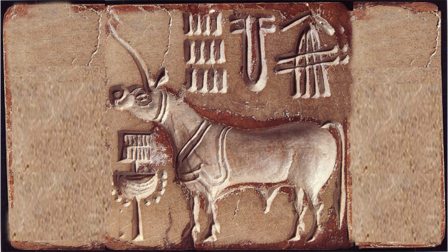 Significance Of The Single Horned Bull In Indus Seals