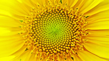 Sāṅkhya Darśana – The Study of Cosmic Origins