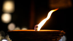 When Ancient Yogic Tools Meet Modern Adolescence: The Yoga Geek Study