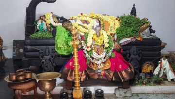 Śivanasamudra: Where Śiva Flows as an Ocean, Śakti and Hari Dwell Within